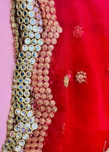 Stunning Red Embellished Dupatta