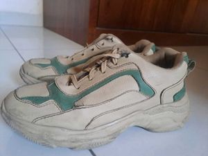 Men's Beige & Teal Sneakers