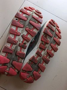 Grey &amp; Pink Sports Shoes
