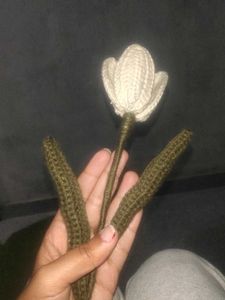 Handmade Crochet Tulip Flower