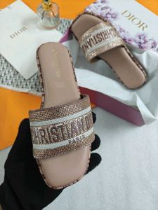 Dior Flats New Stock Premium