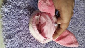 Piglet Plush Pillow