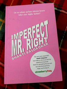Imperfect Mr. Right by Shakti Salgaokar