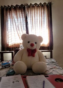 Large White Teddy Bear with Red Bow