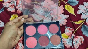 CVB Blush 🎀