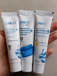 2 Plum Niac 'N' Bright Trio Kit