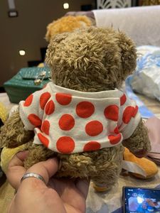 Cute Teddy Bear with Heart Shirt