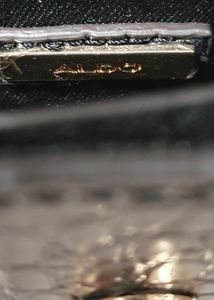 ALDO Mini handbag