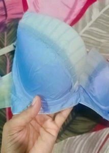 No 1 Bra