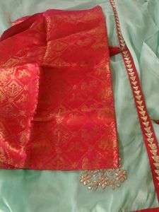 Elegant Mint Green Saree with Gold Embroidery