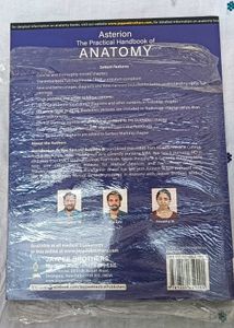 Asterion The Practical Handbook of Anatomy