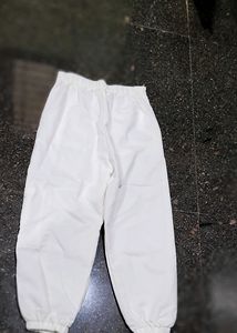 Sassafras New Cargo Jeans