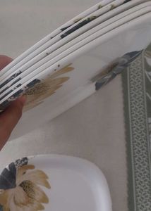 Floral Dinnerware Set (melamine)