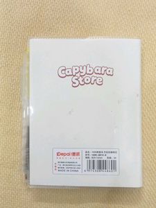 Cute Capybara Planner &amp; Pen Set