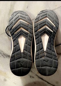 Shoe