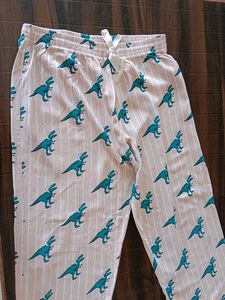 Dinosaur Pajama Pants