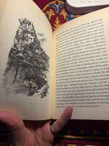 The Adventures of Tom Sawyer by Mark Twain