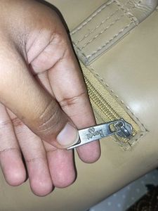 LAST offer Baggit Elegant Beige Tote Bag