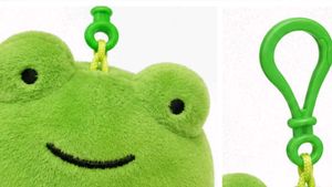 Cute Frog Plush Keychain Toy