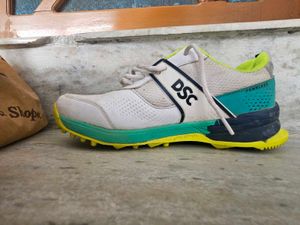 DSC Cricket Shoes