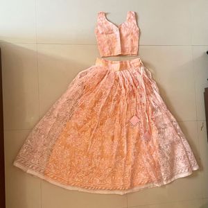 Elegant Peach Net Lehenga Choli