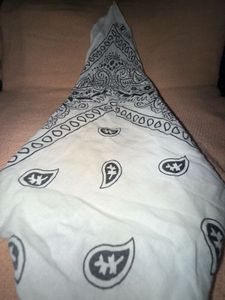 Bangkok Cotton Classic Paisley Bandana (Set of 2)
