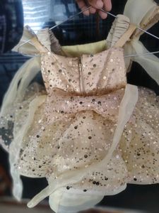 Sparkly Party Dress for first birthday