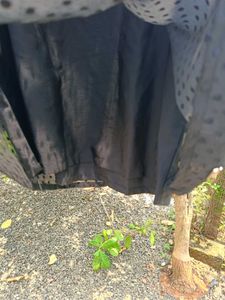 Black Sheer Polka Dot Top