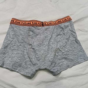 Grey Boxer ⭐Briefs with "The Future" Print