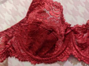 Red Net Bra
