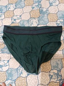 Green Briefs WS