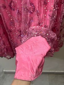 Pink Embroidered and wire work Skirt