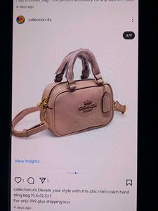 Chic Mini Coach