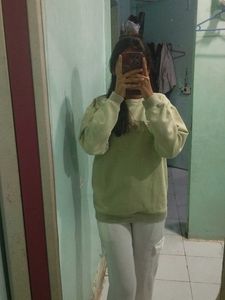 Zara Light Green Embroidered Logo Sweatshirt