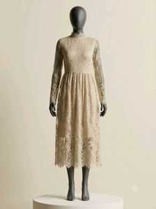 Elegant Lace Dress