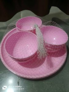 Pink Plastic Bowl and Plate Set