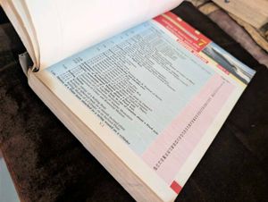 New Millennium Physics Class 11 Vol. II