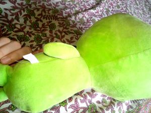 Soft Toy Teddy