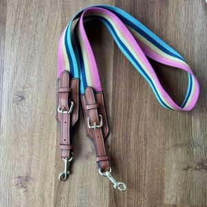 Coach Colorblock Jes Crossbody Bag with Rainbow St