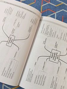 Oswal CBSE Class 10 AI Sample Papers