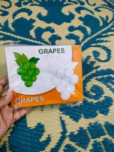 Draw , Learn And Colour Cards ( FRUITS )