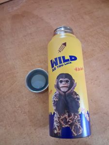 Funky Monkey Water Bottle