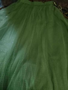 Stunning Mint Green Lehenga Choli