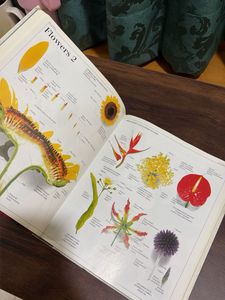 DK Ultimate Visual Dictionary