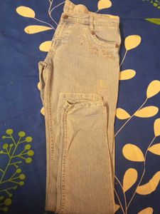 Light Wash Embroidered Jeans