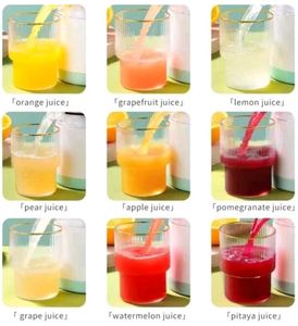 Portable Electric Juicer