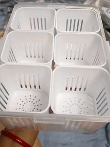 Food Storage Container