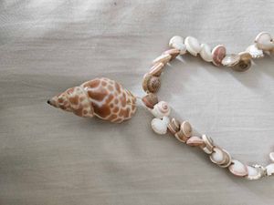 Unique Seashell Necklace