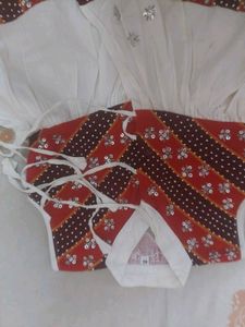 Traditional Indian Girl's Outfit