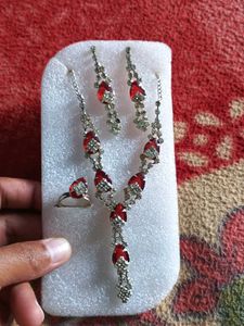 Stunning Red and Silver Jewelry Set